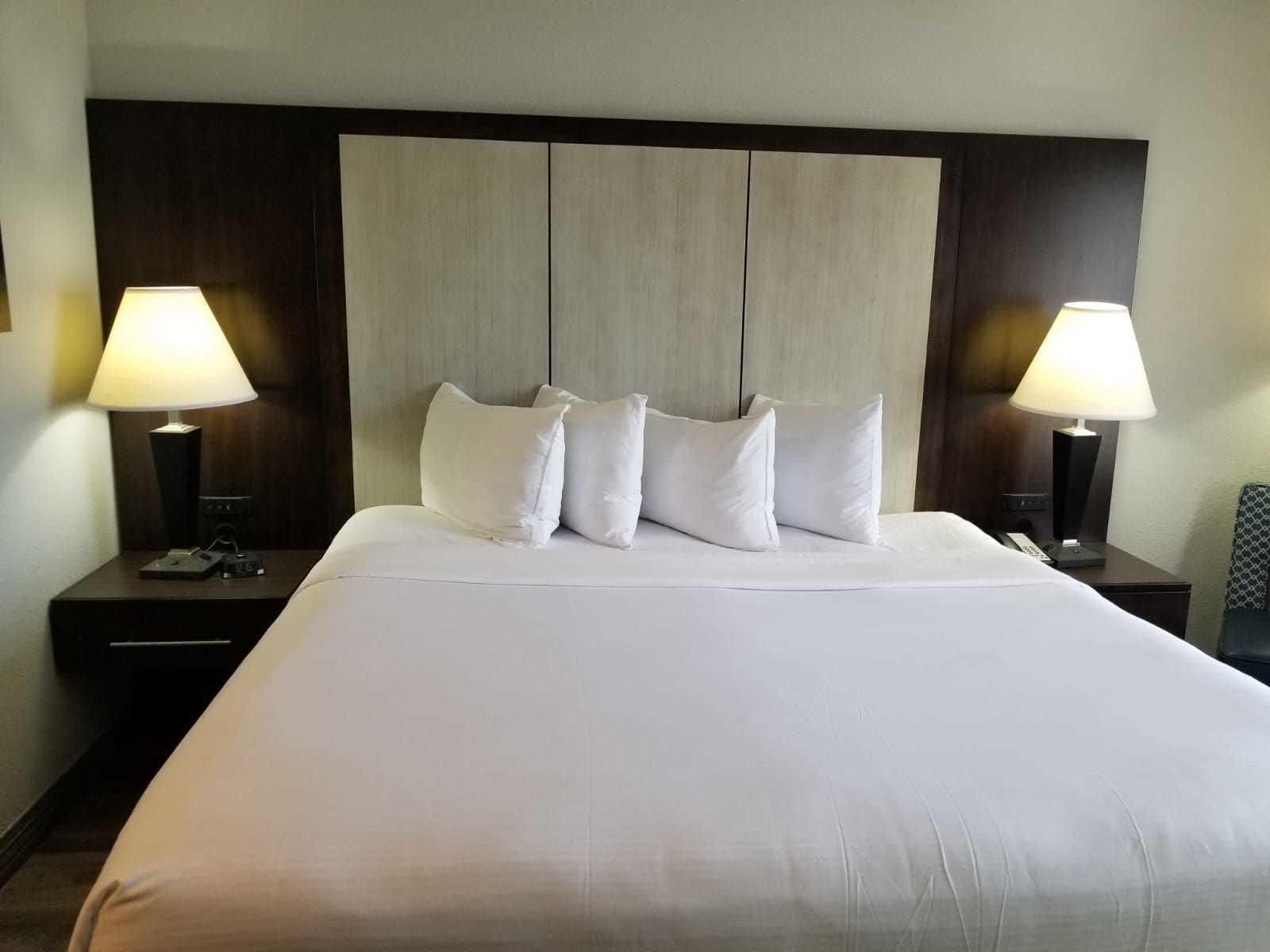 Wyndham Garden Hotel - Jacksonville Eksteriør billede